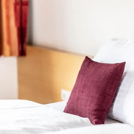 Hotel Loewen 3*